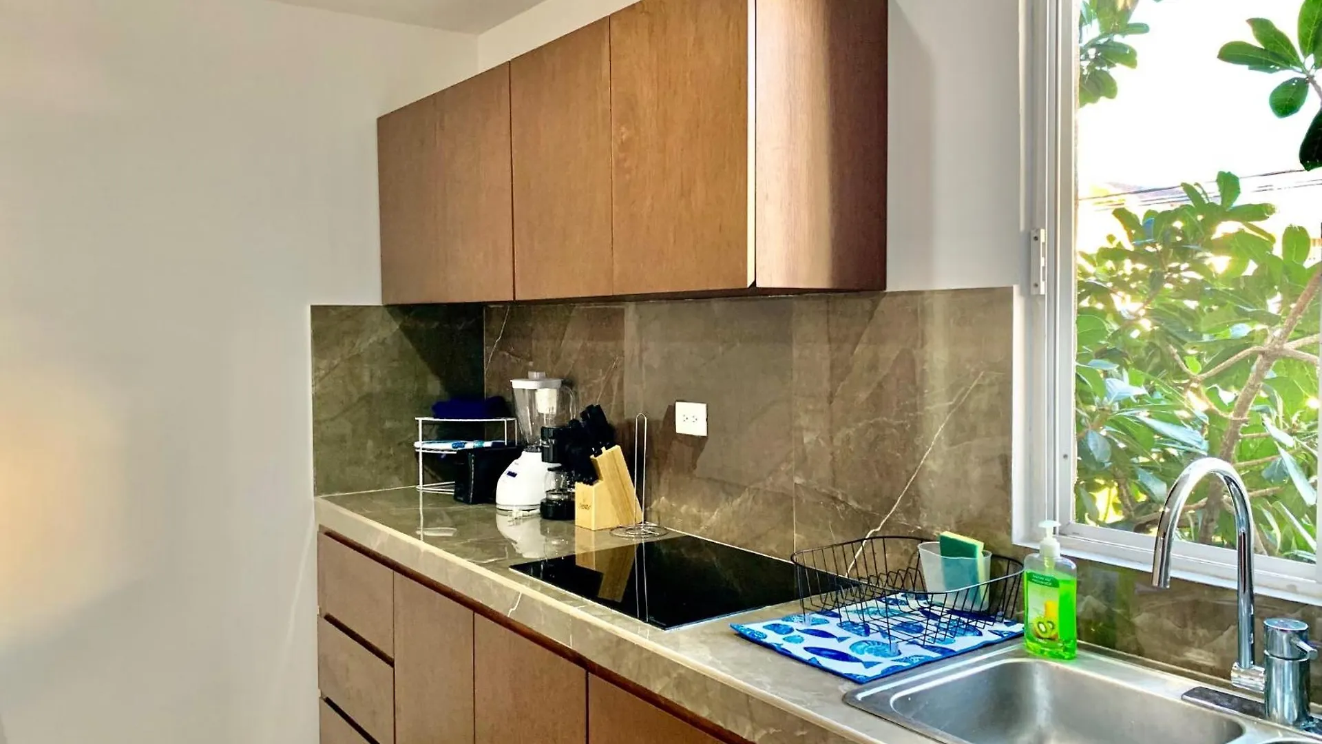 פלאייה דל כרמן Apartment Coral Near Mamitas Beach 0*, פלאייה דל כרמן מקסיקו